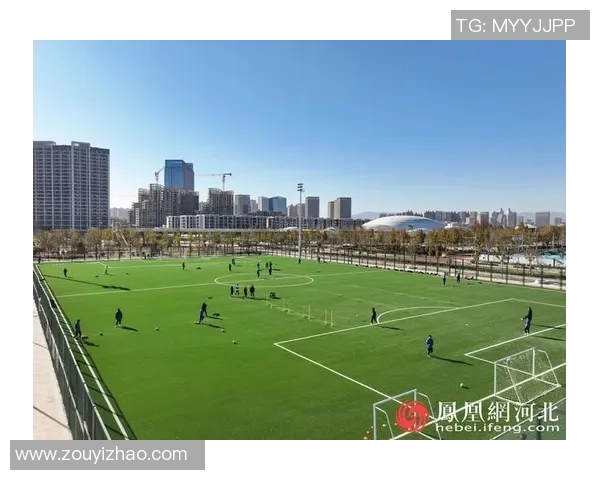 打造现代化足球场提升青少年体育素养与健康生活方式