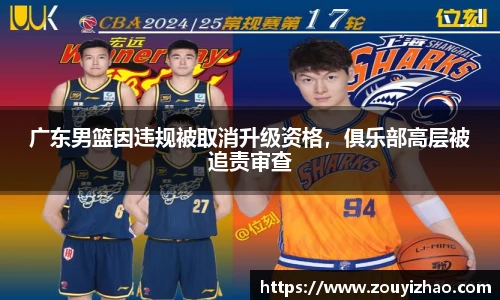 广东男篮因违规被取消升级资格，俱乐部高层被追责审查