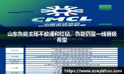 山东鲁能主场不敌浦和红钻，鲁能仍留一线晋级希望