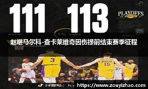 赵继马尔科-查卡莱维奇因伤提前结束赛季征程