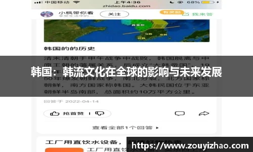 韩国：韩流文化在全球的影响与未来发展