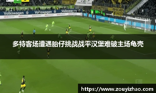 多特客场遭遇胎仔挑战战平汉堡难破主场龟壳