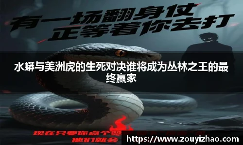 皇冠体育在线平台